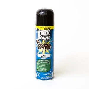Knock Down™ Ant