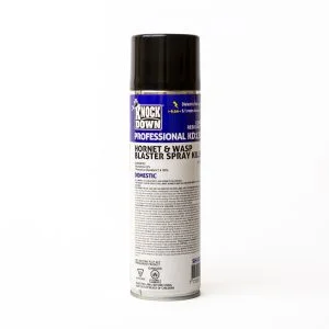 Knock Down™ Pulvérisateur à pression pour guêpes et frelons